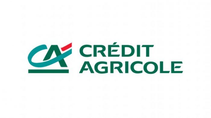 Logo Crédit Agricole (Format Petit Rectangle)